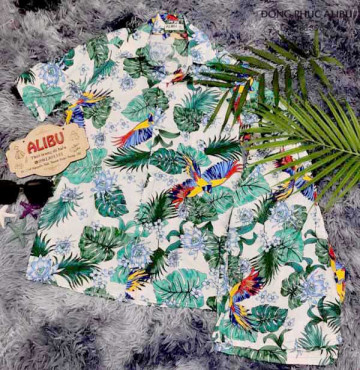 Áo chim cò đi biển Unisex Giá mềm từ 75K