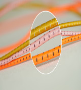 chun tròn trung dũng