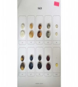 Nút FAKE-HORN-BUTTON-CATALOGUE