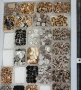 Cuc Kim Loai (5) Cúc kim loại