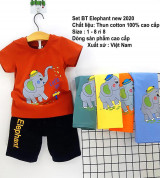 Bán sỉ set bé trai in voi cute- BT2310801