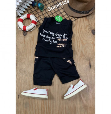 Bỏ sỉ bộ thun ngầu bé trai