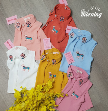 Bán sỉ sơ mi Croptop thời trang