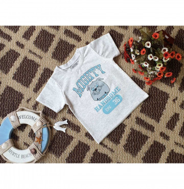 BÁN SỈ ÁO THUN BÉ TRAI IN CHỮ