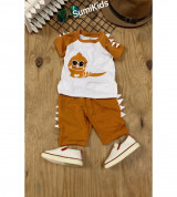 Bỏ sỉ bộ thun khủng long hoạt hình