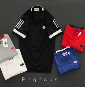 Bỏ sỉ áo thun thể thao PEGASUS viền