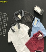 Bỏ sỉ áo thun nam A/X cao cấp