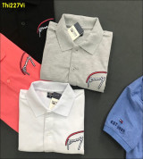 Bỏ sỉ áo thun nam  TOMMY mới