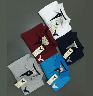 Bỏ sỉ áo thun nữ EAGLE đại bàng