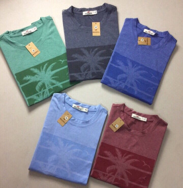 Bỏ sỉ áo thun nam cổ tròn HOLISTER