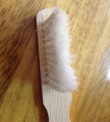 Bàn chải quét keo