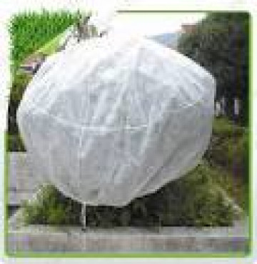 Vải không dệt 16