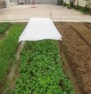 Vải không dệt 15