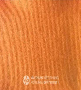 Vải Cotton cam