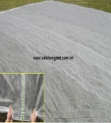 Vải không dệt 12