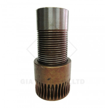 Nhông + cốt nhông lạng