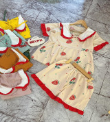 bỏ sỉ lô 5 bộ nữ đủ màu tay ngắn quần đùi vải lụa 42k