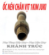 Ốc nén chân vịt máy may (khâu) công nghiệp 1kim