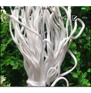 một kg dây dùng để may khẩu trang