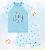Bỏ sỉ bộ bé trai cộc tay raglan Lullaby NH602P (xanh)