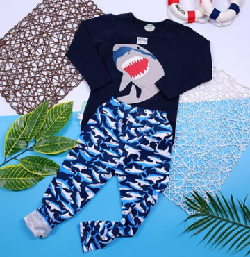 Bỏ buôn bộ thun cotton dài tay in họa tiết bé trai (1-5T)