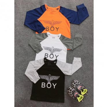 Bán buôn áo thu đông bé trai in hình đại bàng (nhiều màu)