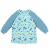 Bỏ sỉ áo bé trai dài tay raglan Lullaby NH108B (xanh in)