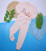 Bỏ buôn bộ quần áo dài tay kẻ ô 1811 (1-3T)