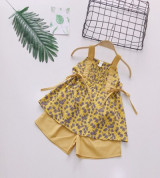 Bán sỉ bộ boil 2 dây bé gái (1-6T)