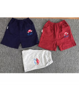 Bán buôn quần đùi bé trai thêu hình (1-5T)