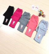 Bán sỉ quần dài bé gái in hình thỏ (6-36M)