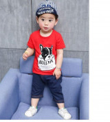 Bỏ sỉ bộ cộc tay trẻ em in hình chó Bullton (1-5T)