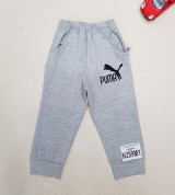 Bán buôn quần dài bo gấu bé trai Vkids (1-6T)