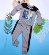 Bỏ sỉ bộ quần áo nỉ da cá bé trai BT2018 (1-6T)