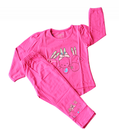 Bán buôn bộ quần áo dài tay bé gái in hình thỏ (2-5T)