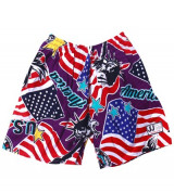 Bán buôn quần cộc vải lanh in hình cho bé trai (1 - 4 tuổi)