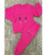 Bán buôn bộ quần áo nỉ bé gái họa tiết mèo (1-5T)