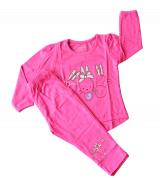 Bán buôn bộ quần áo dài tay bé gái in hình thỏ (2-5T)