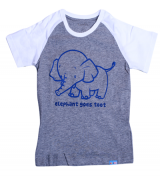 Bán buôn áo cộc tay Kandoo cho bé trai (2-5T)