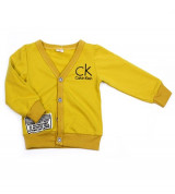 Bỏ sỉ áo Calvin klein dài tay cho bé trai