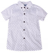 Bán sỉ sơ mi trắng chấm bi 551 - QAH-1159