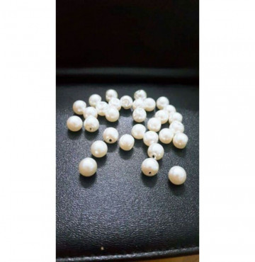 Cúc trai ( gói 50 gam )