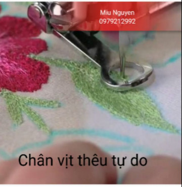 Chân vị thêu tự do