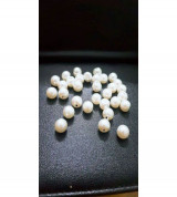 Cúc trai ( gói 50 gam )