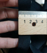 Dây xương cá làm mũ nón và trang trí ( cuộn 5 mét ) size 2cm